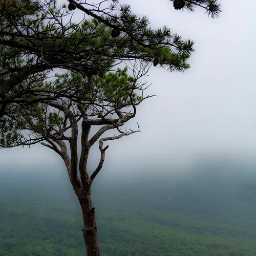 Hangingrock 4