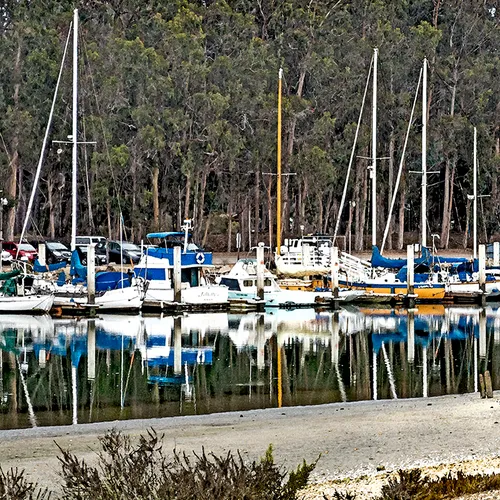 Morrobay 8