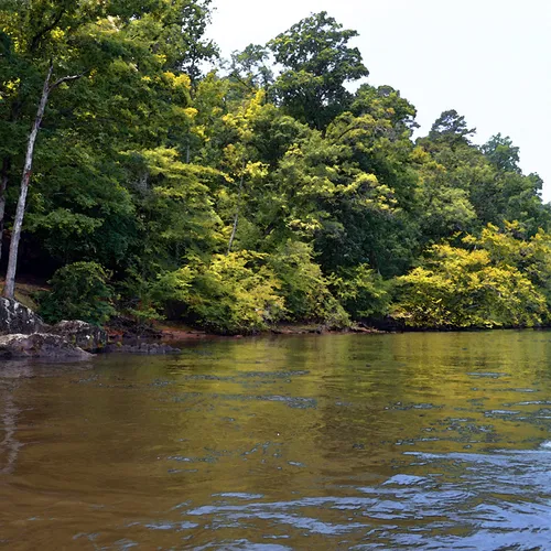 Yadkin-Peedee 9