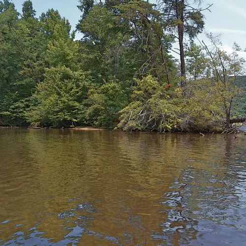 Yadkin-Peedee 16