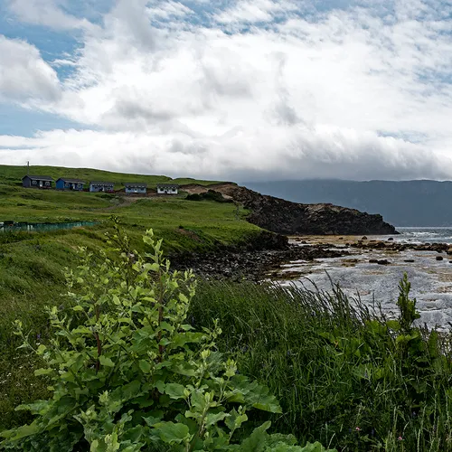 Rockyharbor 8