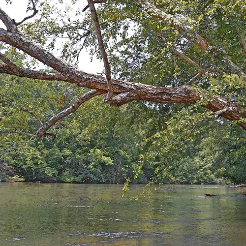Yadkin-Peedee 18