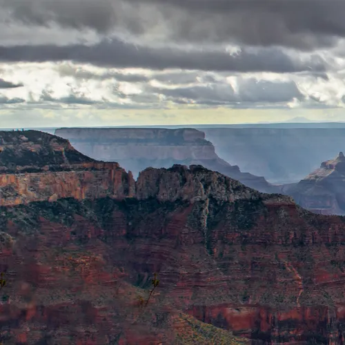 Northrim 36