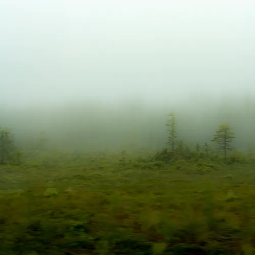 Maine 5