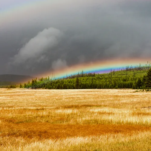 Yellowstone 39