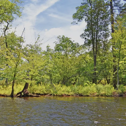 Yadkin-Peedee 28