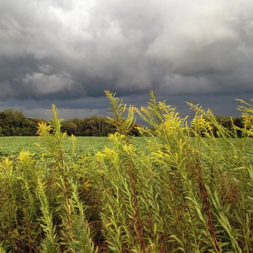 Storm Front 2