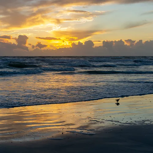 Nsb 9