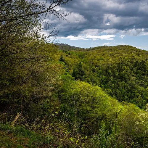 Blue Ridge 3