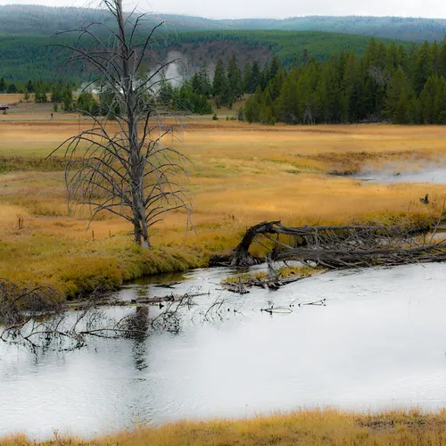 Yellowstone 15