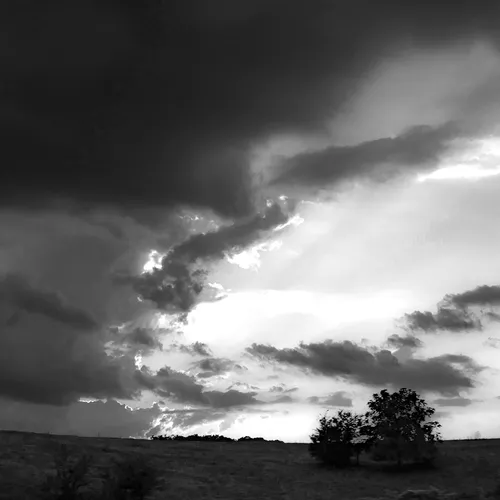 Cominghome 1 B&W