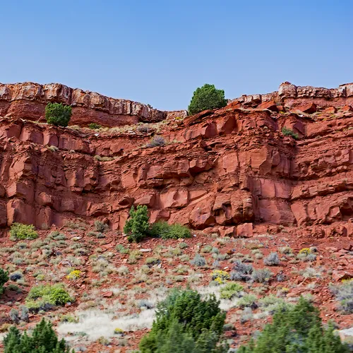 Wyoming 10