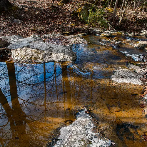 Uwharrie 6