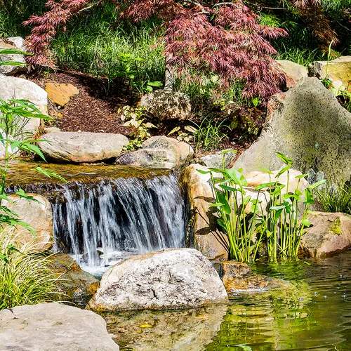 Pond 1