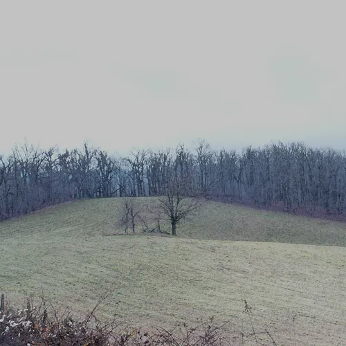 Blueridge 2 Field