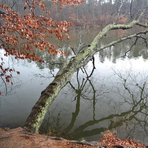 Coriher Park 5