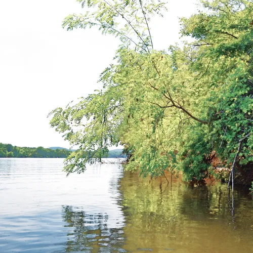 Yadkin-Peedee 32