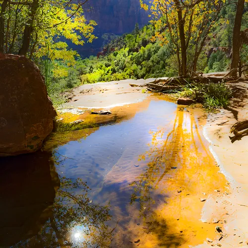 Zion 19