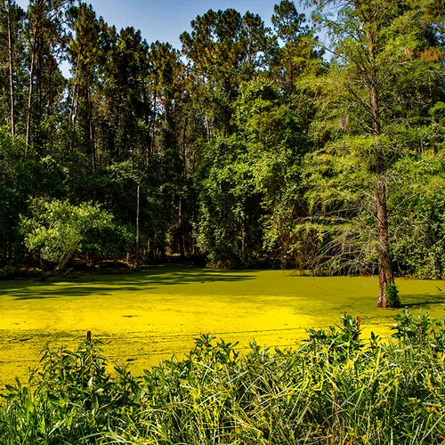 Bradfordcounty 2
