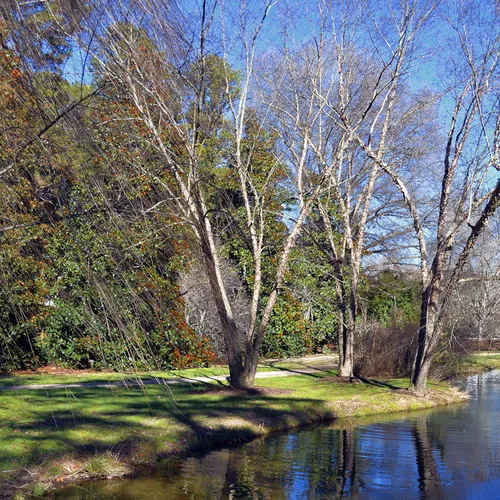 Hurley Park Stream