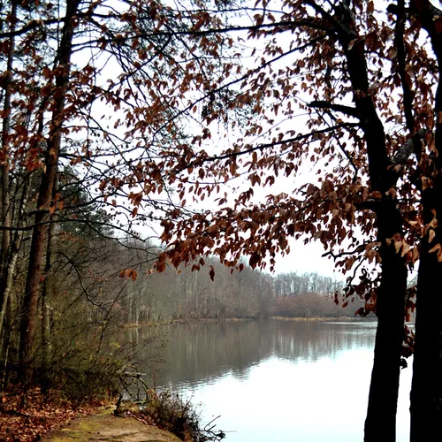 Coriher Park 3