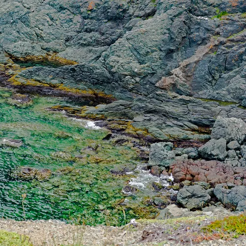 Twillingate 18