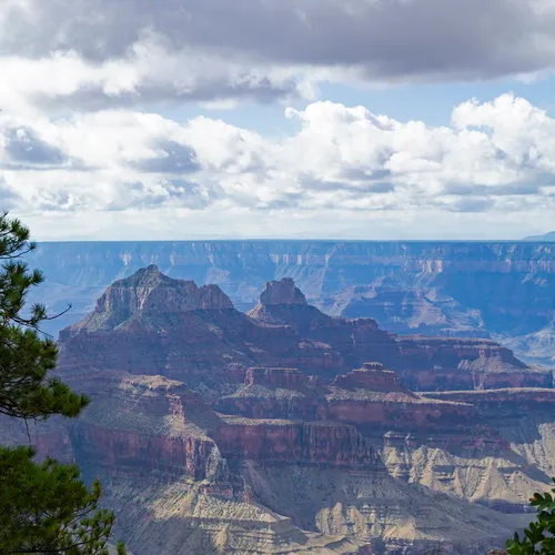 Northrim 24