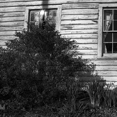 Unity 1 bw