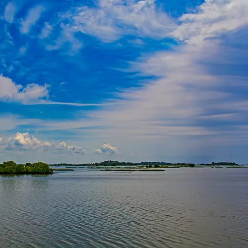 Cedarkey 1