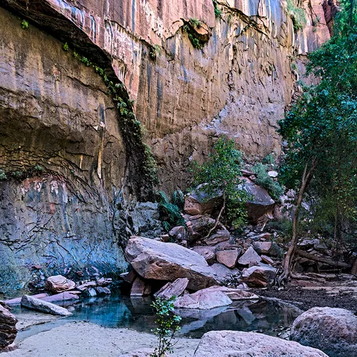 Zion 43