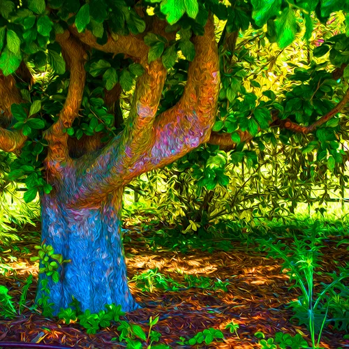 Tree 1