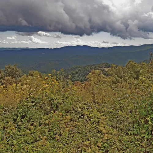 Blueridge Parkway 3