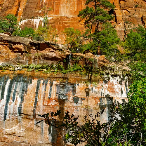 Zion 13