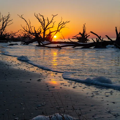 Edistosunrise 39
