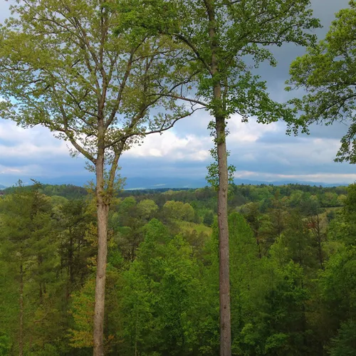 Venueview