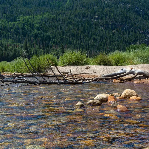 Rockymtn 7