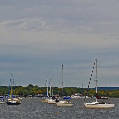 Sailboats 7