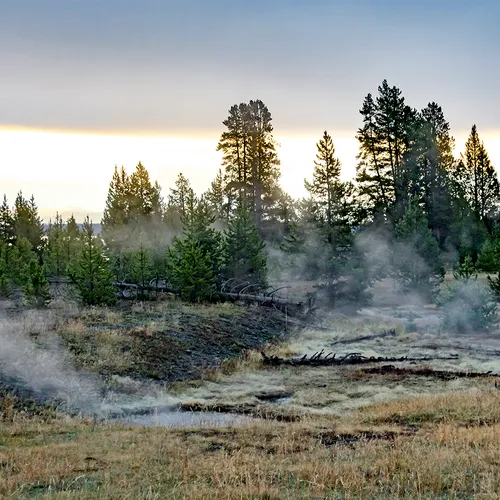 Yellowstone 20