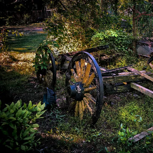 Wagon