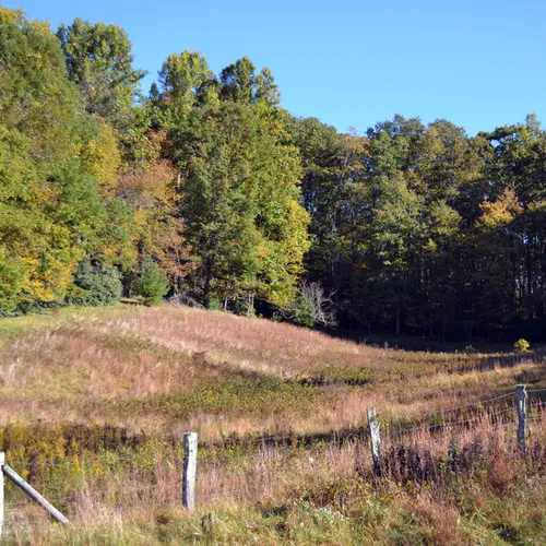 Field