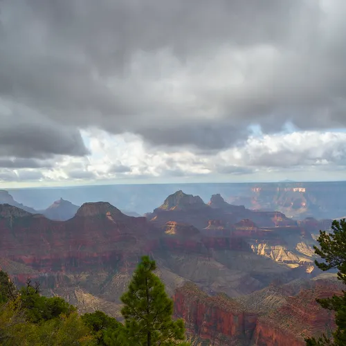 Northrim 13