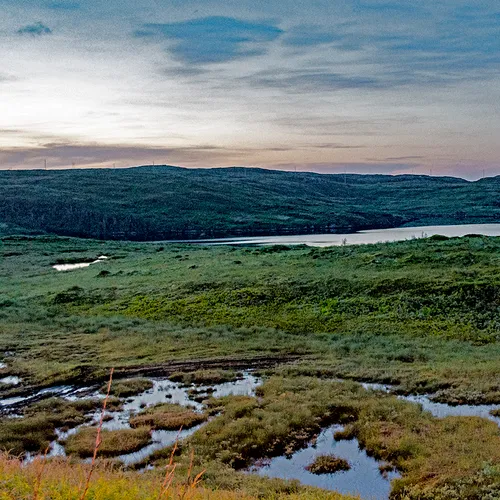 Newfoundlandport 3