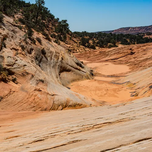 Dinosaurtrack 3