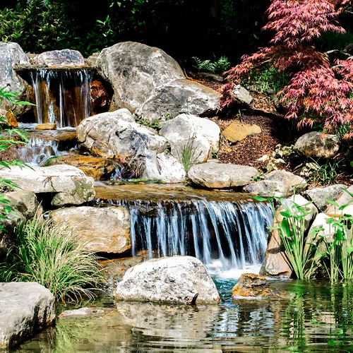 Pond 2