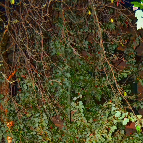 Wall