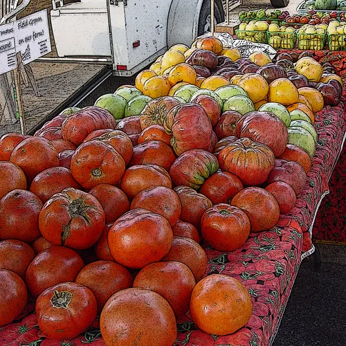 Tomatoes 1