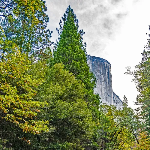 Yosemite 47