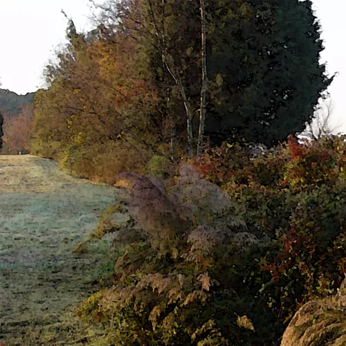 Autumn Fences