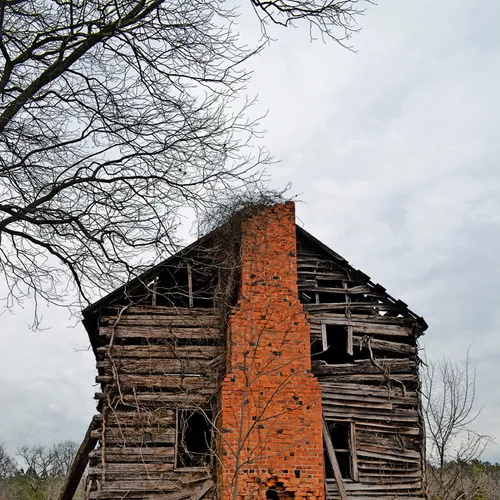 Reese Island Rd 2
