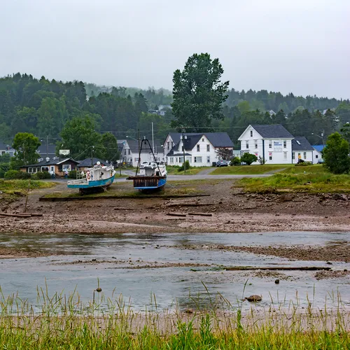 Newbrunswickalma 1